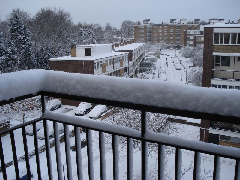 Viewing photos→2009→2009-02-02→01