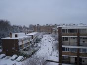 02.jpg - 2009:02:02 09:14:41