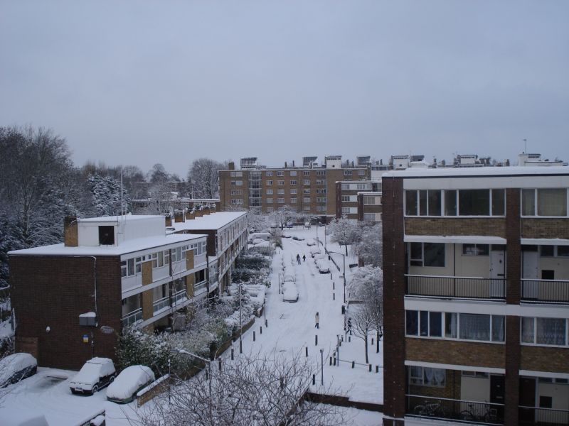 Viewing photos→2009→2009-02-02→02