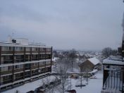 03.jpg - 2009:02:02 09:14:47