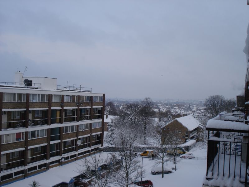 Viewing photos→2009→2009-02-02→03