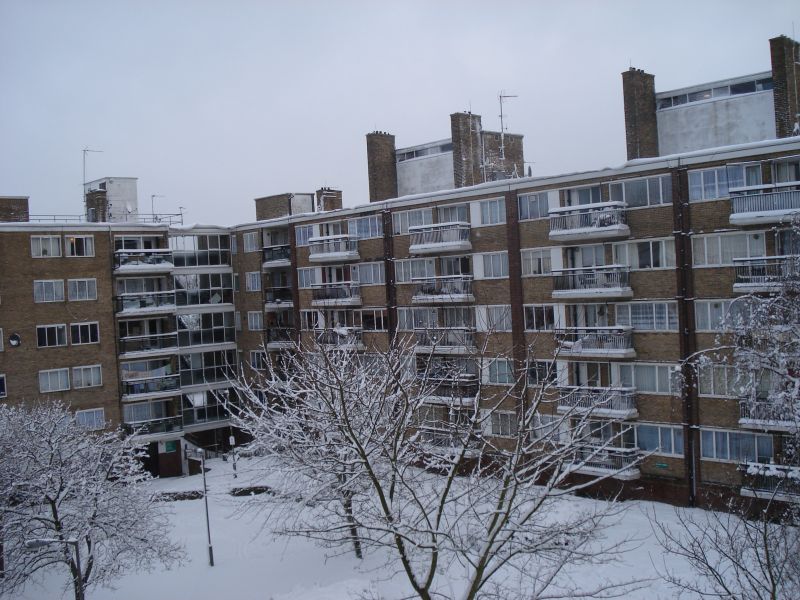 Viewing photos→2009→2009-02-02→04