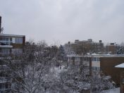 05.jpg - 2009:02:02 09:19:10