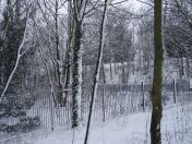 09.jpg - 2009:02:02 09:58:38