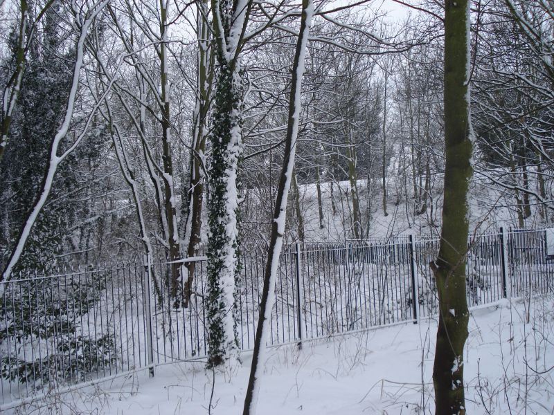 Viewing photos→2009→2009-02-02→09