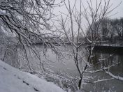 10.jpg - 2009:02:02 10:00:37