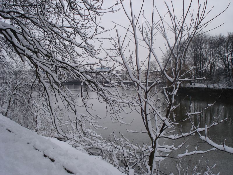 Viewing photos→2009→2009-02-02→10