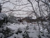 11.jpg - 2009:02:02 10:00:43