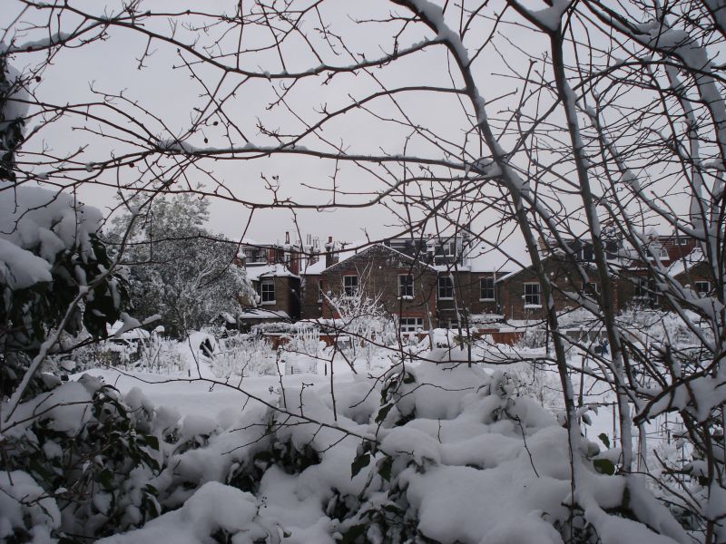 Viewing photos→2009→2009-02-02→11