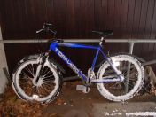 12.jpg - 2009:02:02 10:07:49