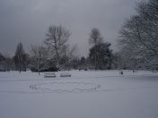 13.jpg - 2009:02:02 10:10:20