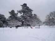 14.jpg - 2009:02:02 10:10:25