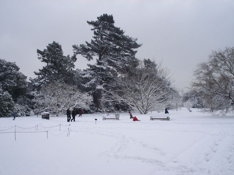 Viewing photos→2009→2009-02-02→14