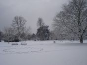 15.jpg - 2009:02:02 10:10:34