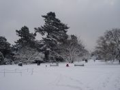 16.jpg - 2009:02:02 10:10:38