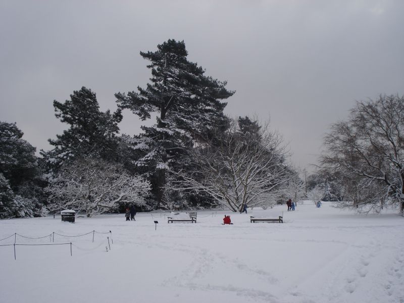 Viewing photos→2009→2009-02-02→16