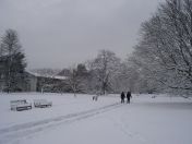 17.jpg - 2009:02:02 10:10:58