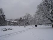 18.jpg - 2009:02:02 10:11:09