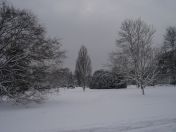 19.jpg - 2009:02:02 10:11:15