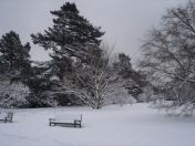 20.jpg - 2009:02:02 10:11:23