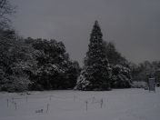 21.jpg - 2009:02:02 10:11:27