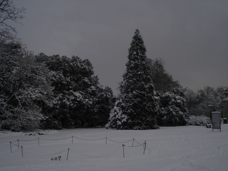 Viewing photos→2009→2009-02-02→21