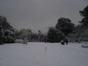 22.jpg - 2009:02:02 10:11:31