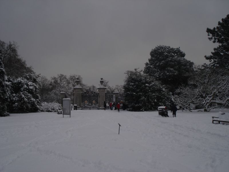 Viewing photos→2009→2009-02-02→22