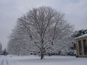 23.jpg - 2009:02:02 10:11:45