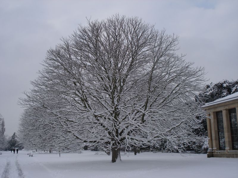 Viewing photos→2009→2009-02-02→23