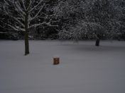 25.jpg - 2009:02:02 10:13:02