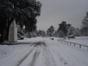 26.jpg - 2009:02:02 10:13:25