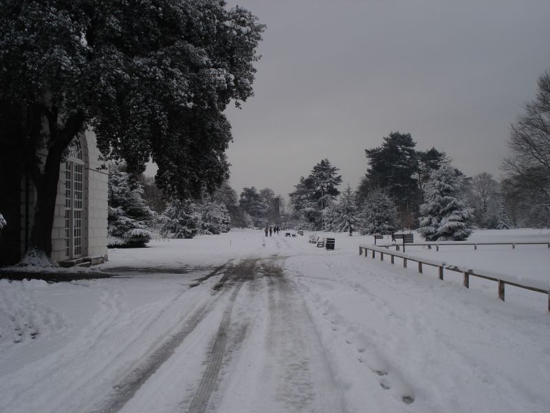 Viewing photos→2009→2009-02-02→26