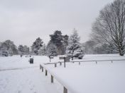 29.jpg - 2009:02:02 10:14:12