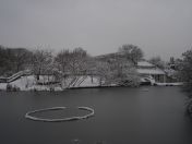 30.jpg - 2009:02:02 10:15:46