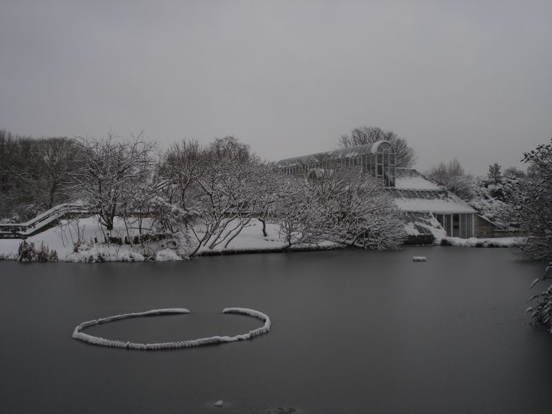 Viewing photos→2009→2009-02-02→30