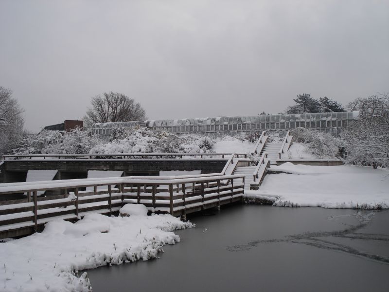 Viewing photos→2009→2009-02-02→31