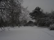 33.jpg - 2009:02:02 12:43:55