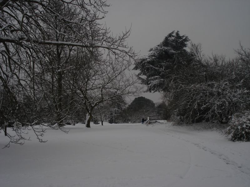 Viewing photos→2009→2009-02-02→33