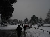 34.jpg - 2009:02:02 12:44:39