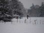 36.jpg - 2009:02:02 13:10:59