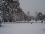 37.jpg - 2009:02:02 13:11:08