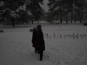 47.jpg - 2009:02:02 13:51:29