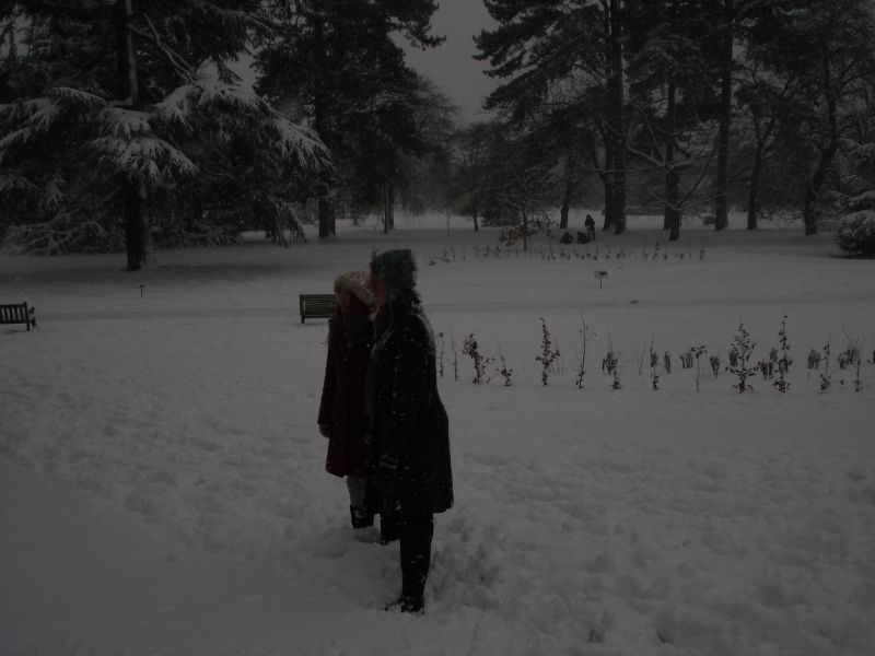 Viewing photos→2009→2009-02-02→47