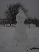 56.jpg - 2009:02:02 14:04:25