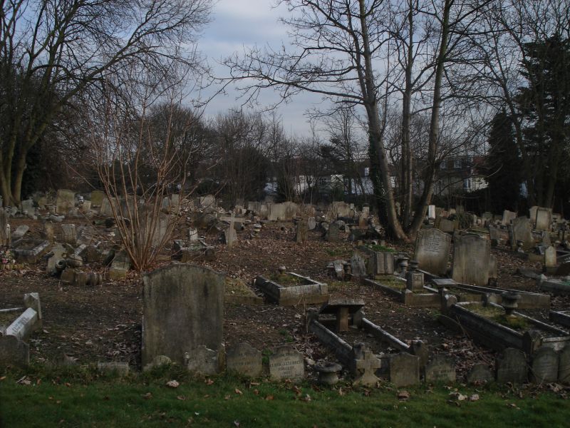 Viewing photos→2009→2009-02-28→01