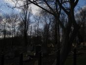 02.jpg - 2009:02:28 15:25:13