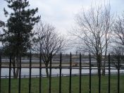 05.jpg - 2009:02:28 16:00:43