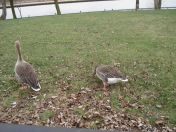 07.jpg - 2009:02:28 16:01:02