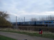 08.jpg - 2009:02:28 16:04:28